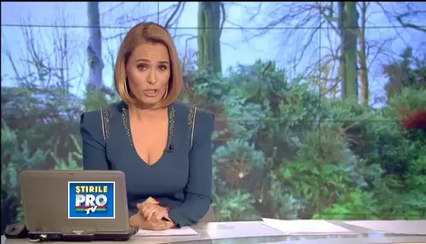 Brazii de Craciun aruncati la gunoi sunt reciclati. Se transforma in ingrasamant sau peleti