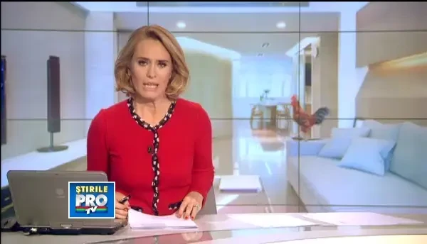 Animalul de companiei al Iuliei Albu este o gaina cu pedigree. Cum este tratata LouLou la salon