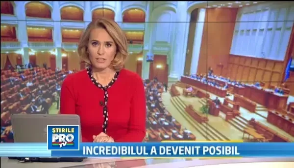 Legatura dintre karate, croitorie, vinuri fine si politica?Raspunsul vine de la parlamentarii nostri