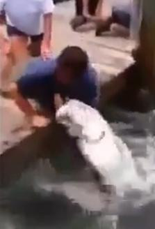 VIDEO. Partida de pescuit la care spectatorii au inceput sa tipe, iar pescarul era sa-si piarda mana