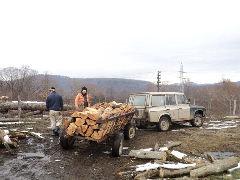 Un barbat din judetul Hunedoara a fost amendat cu 2000 de lei pentru ca transporta ilegal lemne