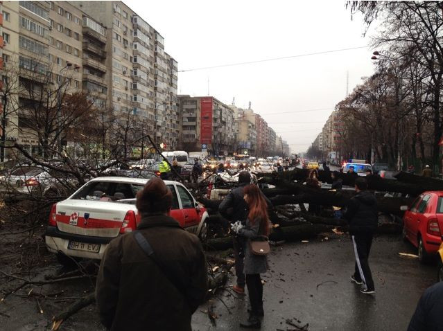 Cod galben de ninsori si viscol. Un copac si 3 stalpi au cazut peste mai multe masini din Capitala