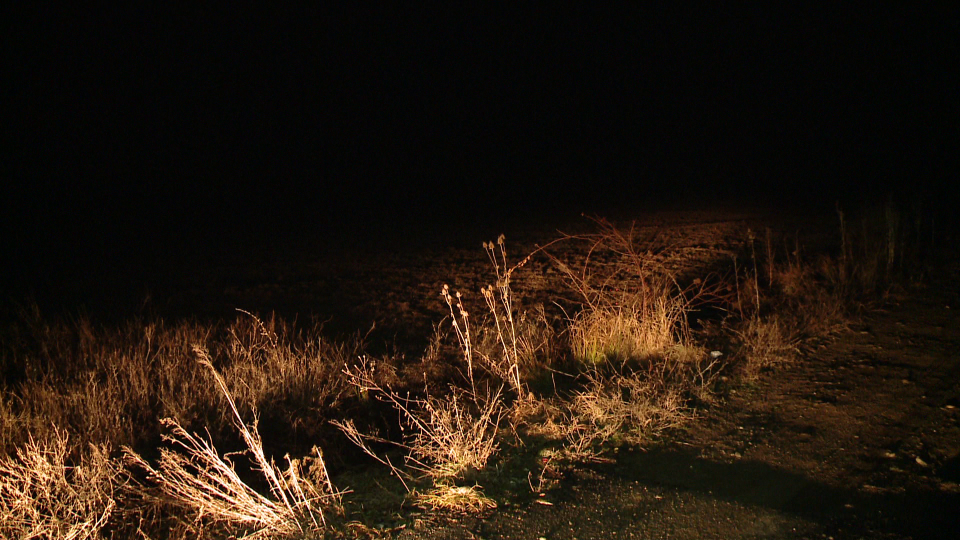 Un tanar de 25 de ani din Lugoj, disparut de cateva zile, a fost gasit mort pe un camp