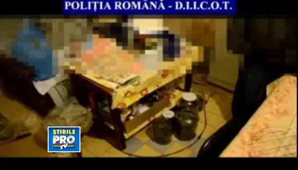 Trei barbati din Arad, retinuti pentru trafic de droguri. Aveau asupra lor 12 kilograme de cannabis