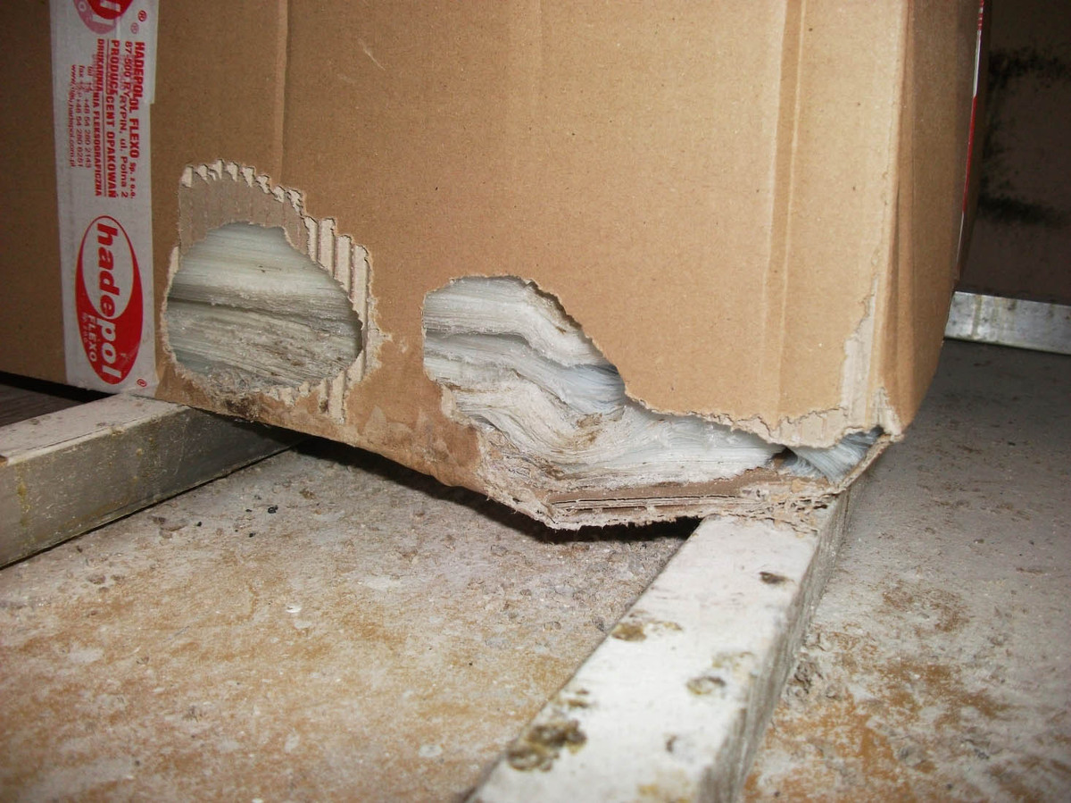 Imaginile revoltatoare din cauza carora o patiserie a fost inchisa. Ce se intampla acolo