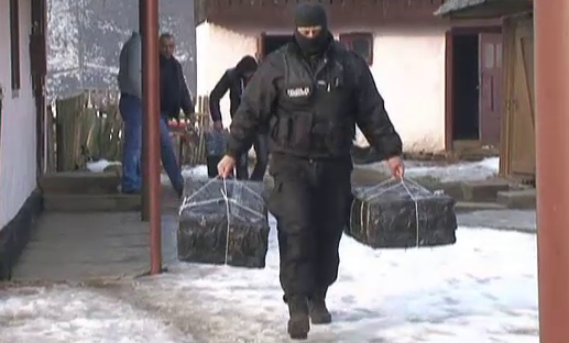 Ancheta AP despre amploarea traficului cu tigari la granita Romaniei cu Ucraina