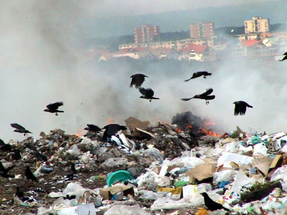 Timisorenii vor plati mai mult pentru resturile menajere. Societatea de salubrizare mareste tarifele