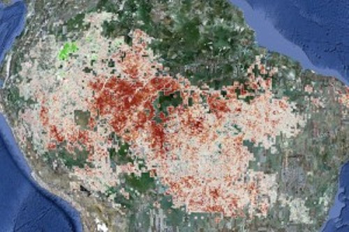 O parte uriasa din jungla amazoniana e in pericol sa se distruga.Ce descoperire a facut NASA in zona