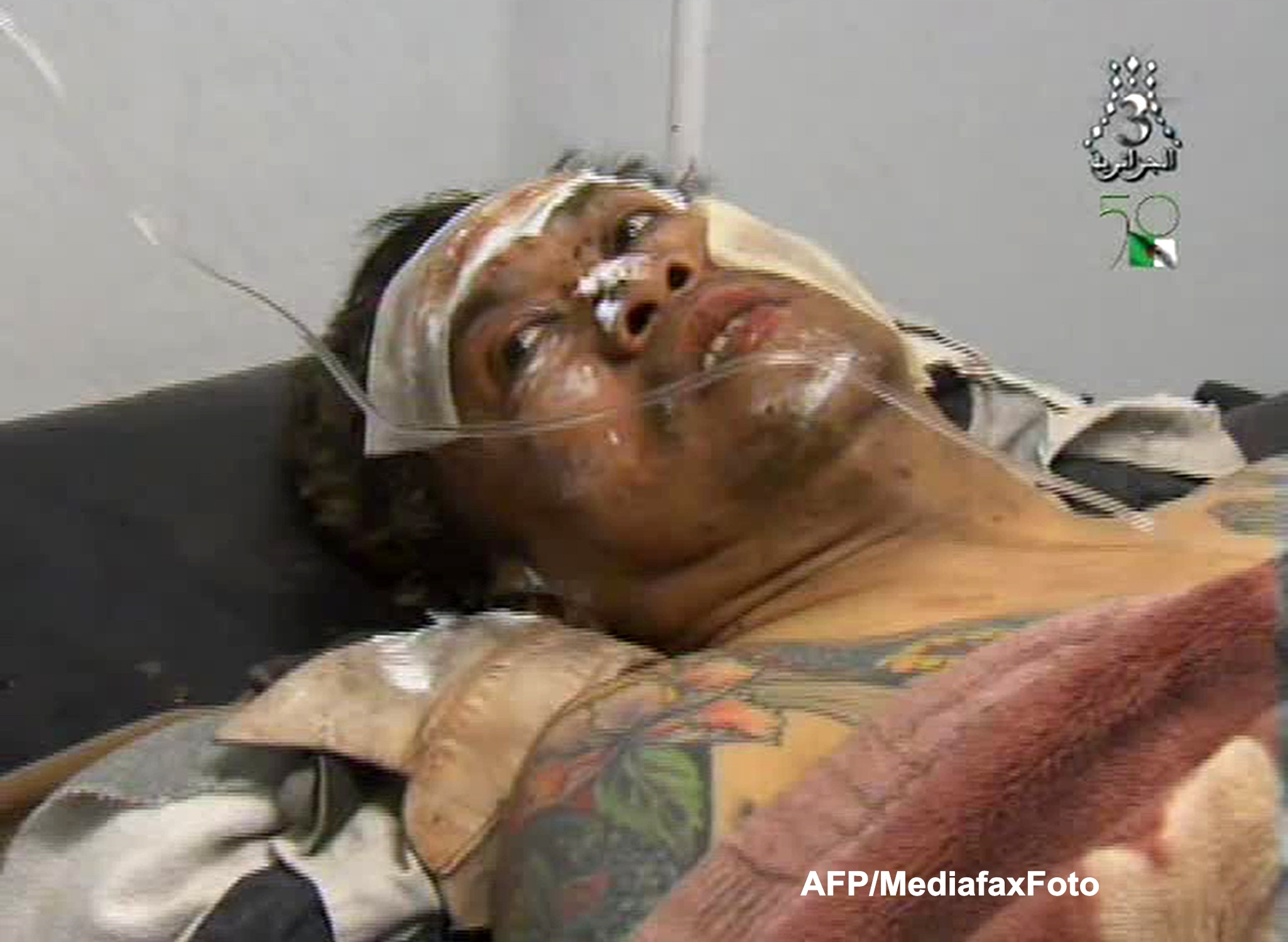 Noua japonezi luati ostatici in Algeria au fost executati de catre islamisti