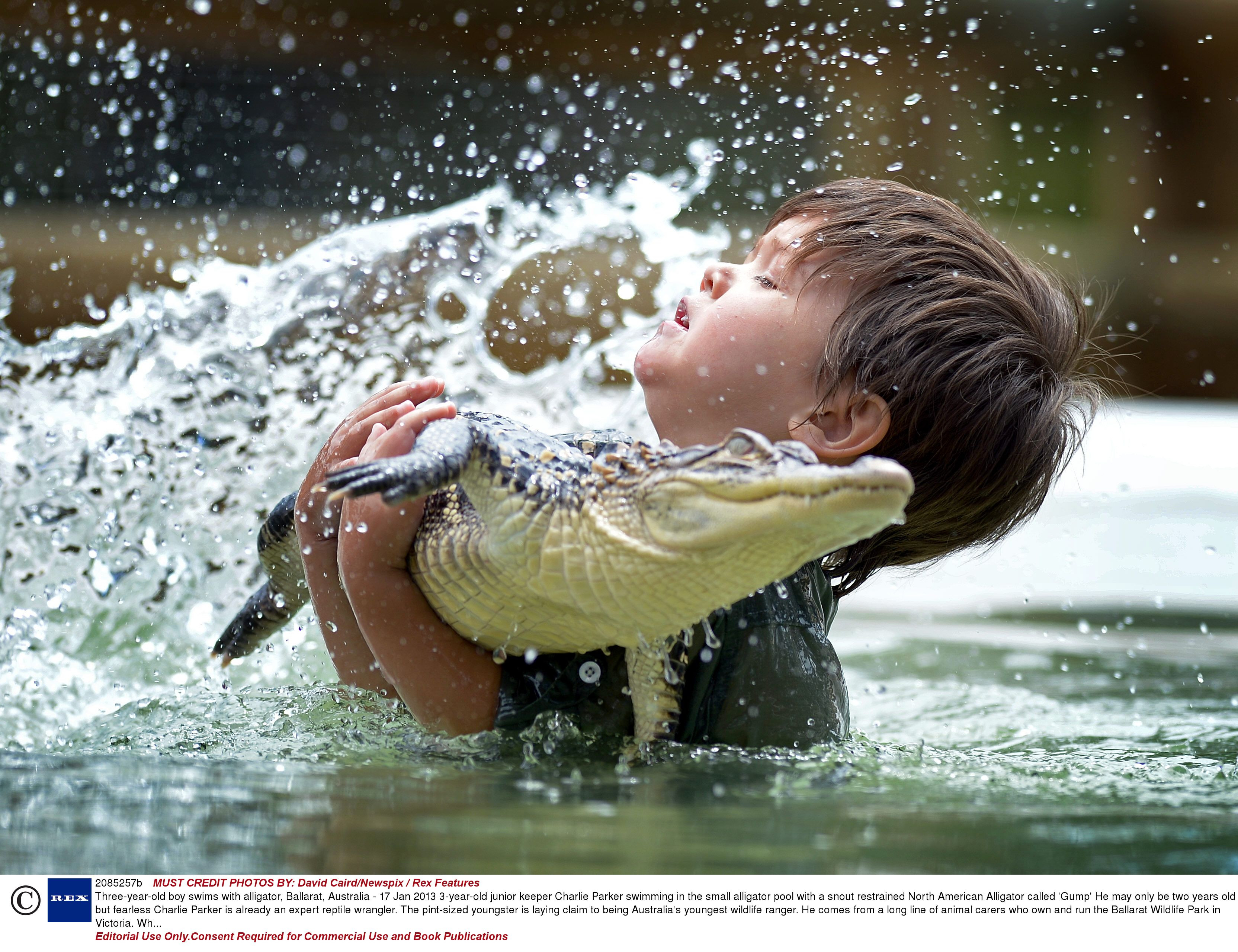 Vanator de crocodili la doar 3 ani. Pustiul care refuza jucariile pentru a se lupta cu aligatorii