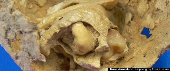 Socant. Ce au gasit arheologii intr-un mormant vechi de 1.600 de ani. "Nu stiam ca a existat"