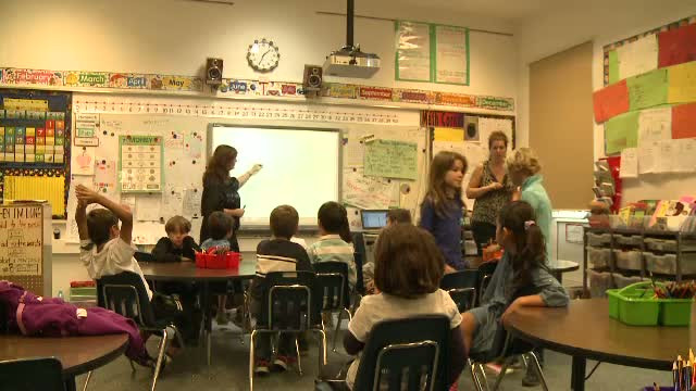 Scolile private nu vor beneficia in 2013 de finantare de la buget. Masura afecteaza 60.000 de elevi