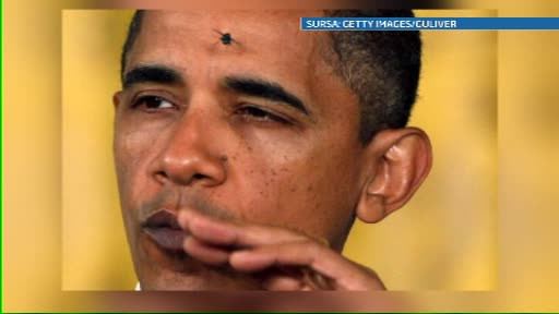 Mustele trag la Obama. Presedintele american a fost din nou agasat de o insecta obraznica. VIDEO