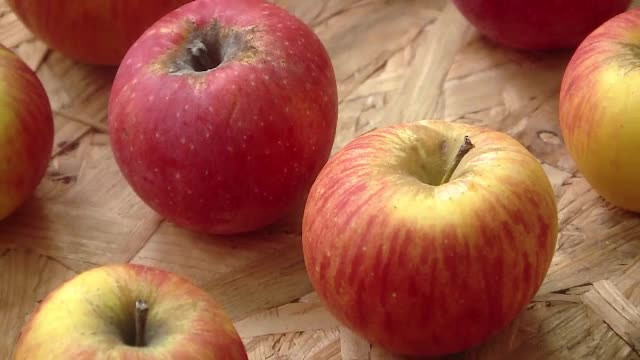 In cautarea gustului delicios al fructelor romanesti, pomicultorii se intorc la puietii autohtoni