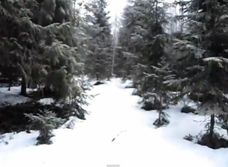 Trei copii din Satu Mare s-au ratacit si au dormit intr-o padure