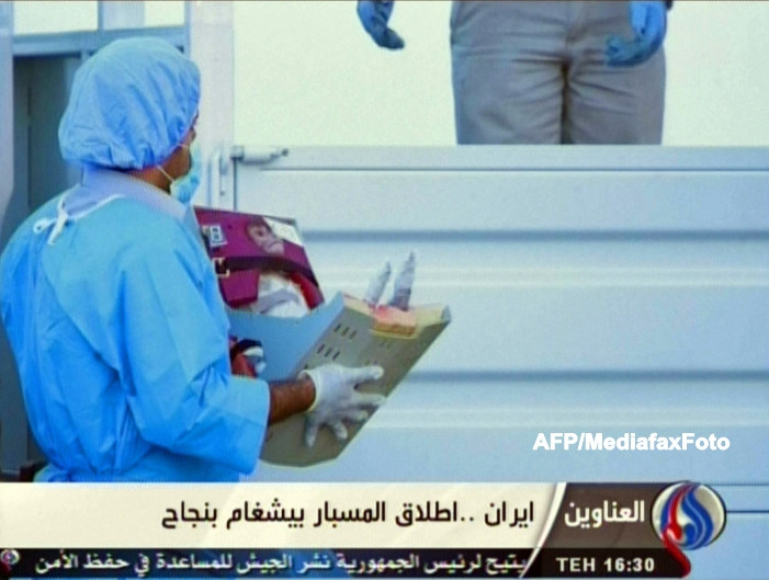 SUA afirma ca trimiterea unei maimute in spatiu de catre Iran incalca o rezolutie ONU