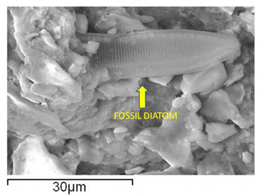 Mai multi savanti sustin ca au "dovada incontestabila" a existentei vietii extraterestre