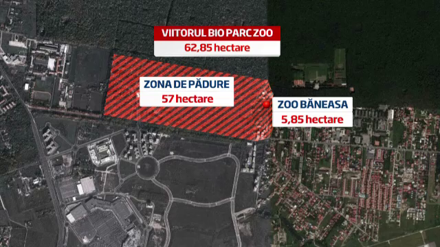 80 de mil. de euro pentru extinderea ZOO Baneasa. Ce inseamna pentru padurea din nordul Capitalei