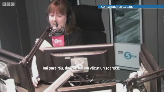 O prezentatoare radio, terifiata dupa ce a vazut un soarece in studio. A luat-o la fuga tipand.VIDEO