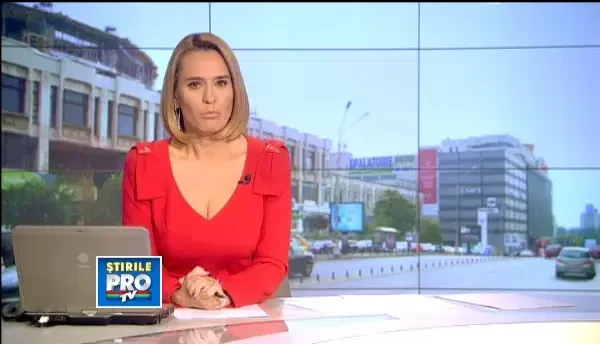 Capitala cu 1 maidanez la fiecare 40 de oameni. Numarul persoanelor muscate a crescut cu 30%