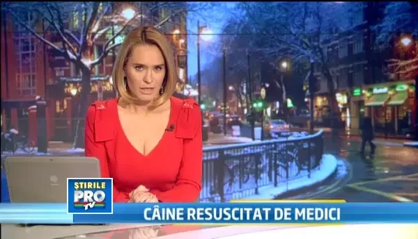 Campania Gandul a facut impresie buna in Marea Britanie. Ce spun jurnalistii straini