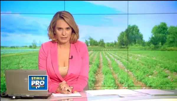 Noul Cod Fiscal introduce impozitul pe porci, vaci sau gaini. Legea a intrat in vigoare astazi