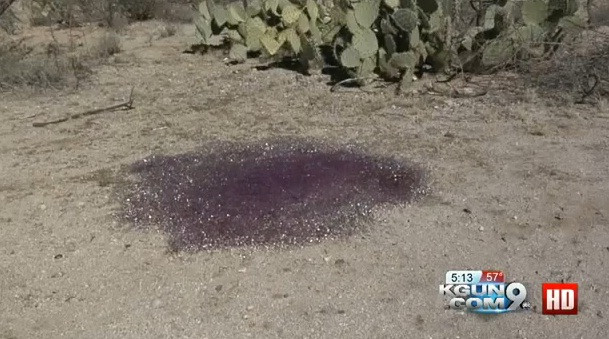 Descoperire bizara in mijlocul desertului. Oamenii de stiinta nu stiu sa explice fenomenul. VIDEO