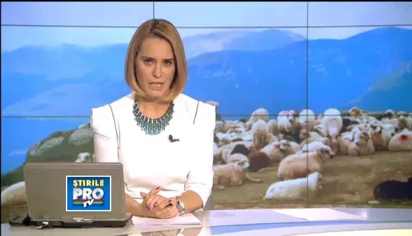 Cum a devenit un cioban de 96 de ani, din Tara Hategului, cel mai in varsta angajat din Romania