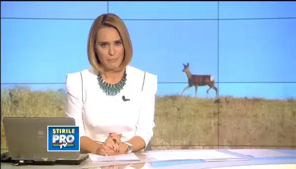 A salvat un pui de caprioara si l-a crescut cu mare drag. Acum risca dosar penal