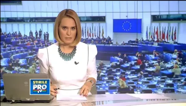 Elena Basescu a informat-o pe Viviane Reding despre cazul consilierului local Rares Buglea