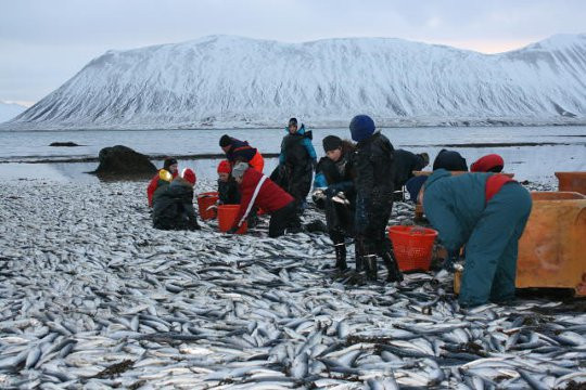 Imagini din "lacul apocalipsei", locul de pe pamant in care viata a incetat sa mai existe