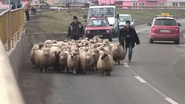 Protest zgomotos in judetul Maramures