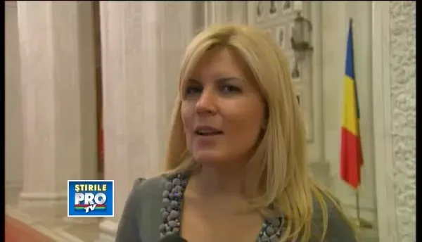 Elena Udrea despre proiectul regionalizarii