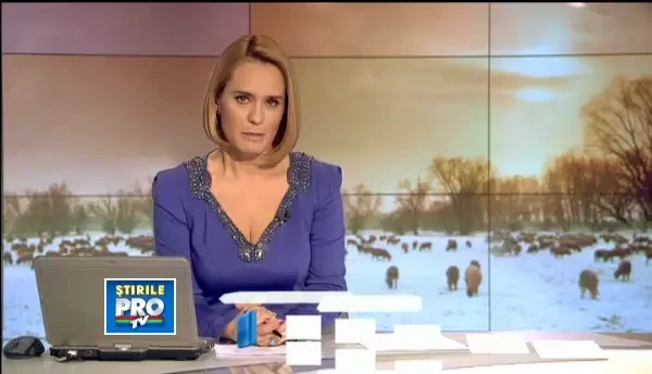 Traficul din Bistrita, blocat de un cioban si oile sale.