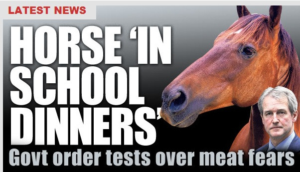 Ancheta in Marea Britanie. Carnea de cal din abatorul romanesc ar fi ajuns in scoli si spitale