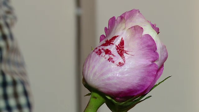 FLORI DE VALENTINE'S DAY. Trandafirii imprimati, solutia perfecta pentru un cadou pe 14 februarie