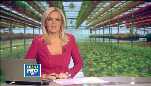 FLORI DE VALENTINE'S DAY. Trandafirii imprimati, solutia perfecta pentru un cadou pe 14 februarie