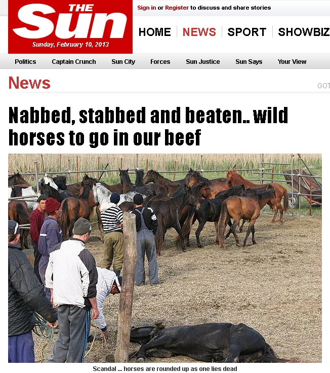 The Sun: Cai salbatici supusi unor rele tratamente in Romania ar fi fost sacrificati pentru export