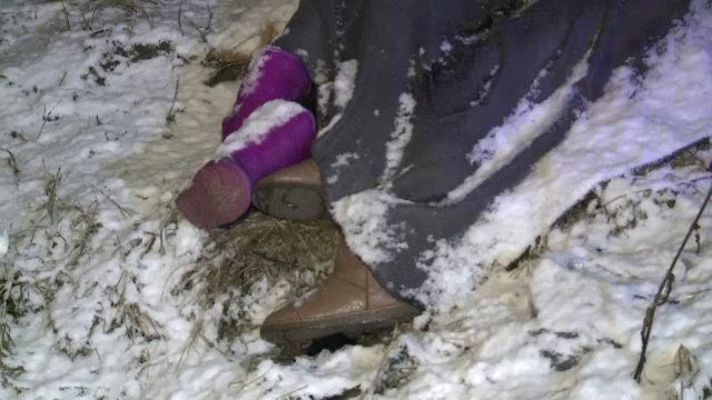 Accident grav pe DN 1B. Doua politiste si-au pierdut viata dupa ce au intrat pe contrasens