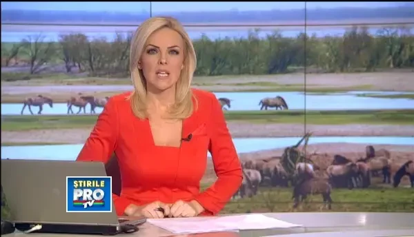 Drumul carnii de cal, din Romania pana in lasagna britanica. Basescu: Riscam sa fim decredibilizati