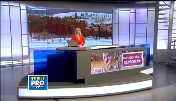 Vanatorii au sarit in ajutorul salbaticiunilor din padure