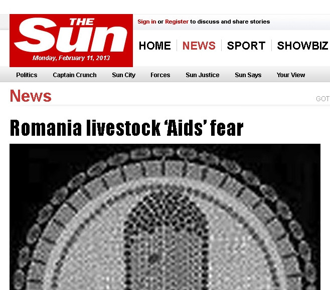 The Sun: Caii din Romania sunt de obicei infectati cu o boala similara SIDA la oameni