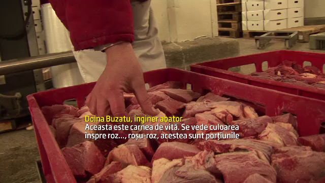 Autoritati: Romania nu a exportat carne de cal etichetata ca vita. "Nu suntem suspectii de serviciu"