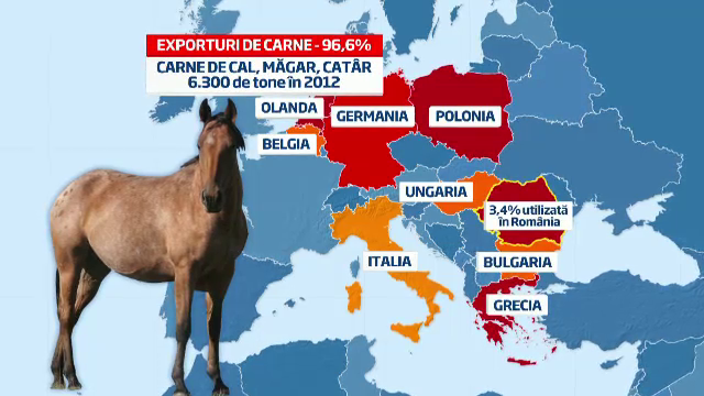 Anglia si Franta arata cu degetul in directia gresita. Riscurile Romaniei in scandalul carnii de cal