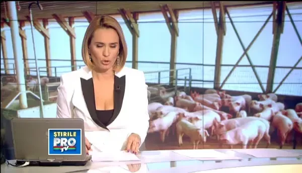 Anglia si Franta arata cu degetul in directia gresita. Riscurile Romaniei in scandalul carnii de cal