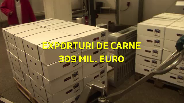 Cine plateste pentru imaginea patata a Romaniei. Englezii descopera abatoarele-problema la ei acasa