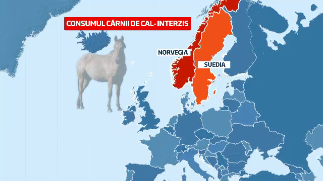 carne de cal
