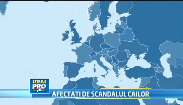 Delicatasa in Franta, interzisa in Scandinavia. Harta Europei in functie de consumul carnii de cal