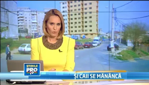 Cazul asasinatului la comanda. Fratii Bogdan si Razvan Mararu au fost arestati pentru 29 de zile