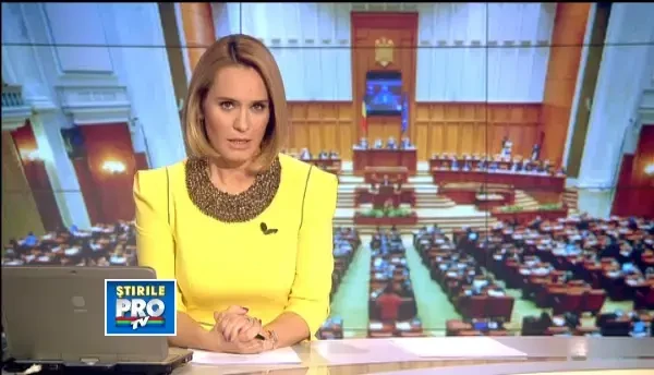 Parlamentul a aprobat ca termenul de contestare a raportului ANI sa fie de 45 de zile